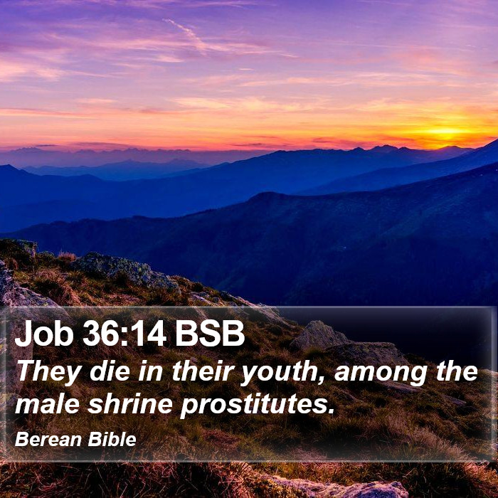 Job 36:14 BSB Bible Study