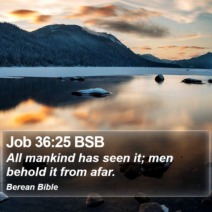 Job 36:25 BSB Bible Study