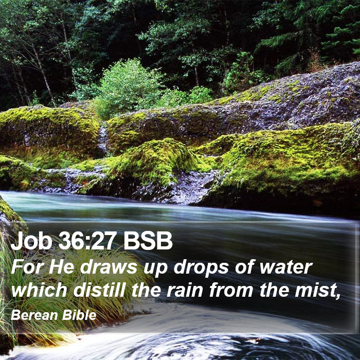 Job 36:27 BSB Bible Study