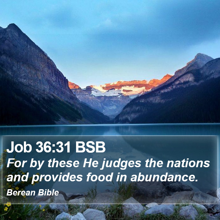 Job 36:31 BSB Bible Study