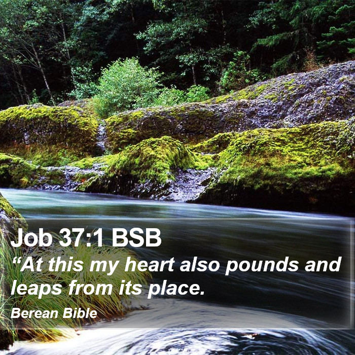 Job 37:1 BSB Bible Study