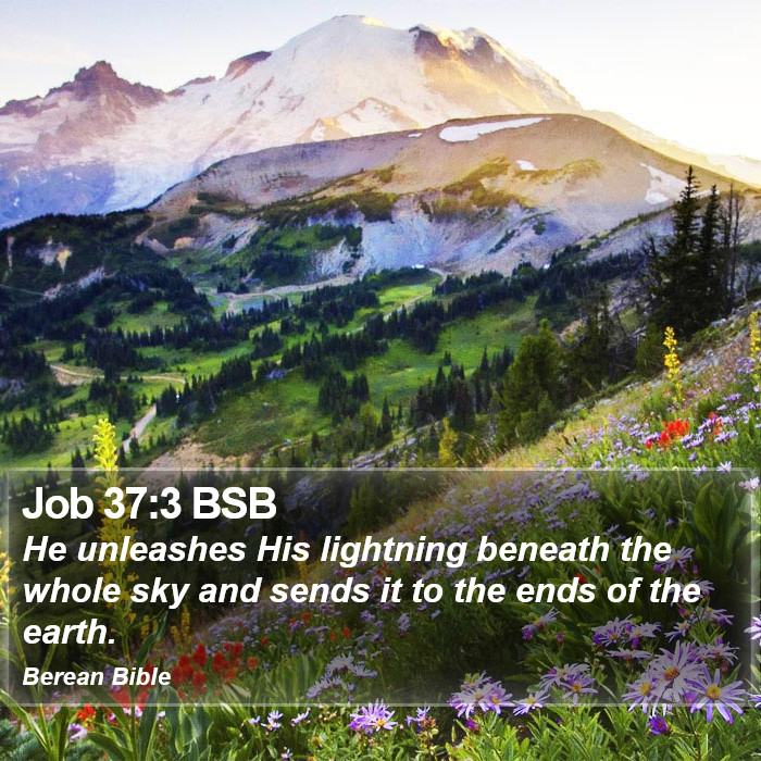 Job 37:3 BSB Bible Study