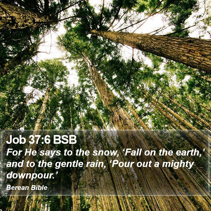 Job 37:6 BSB Bible Study