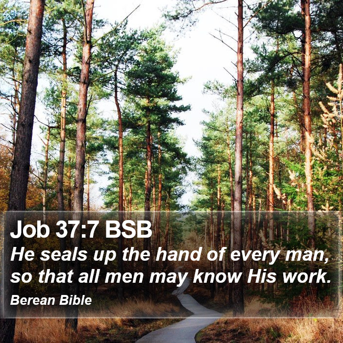 Job 37:7 BSB Bible Study