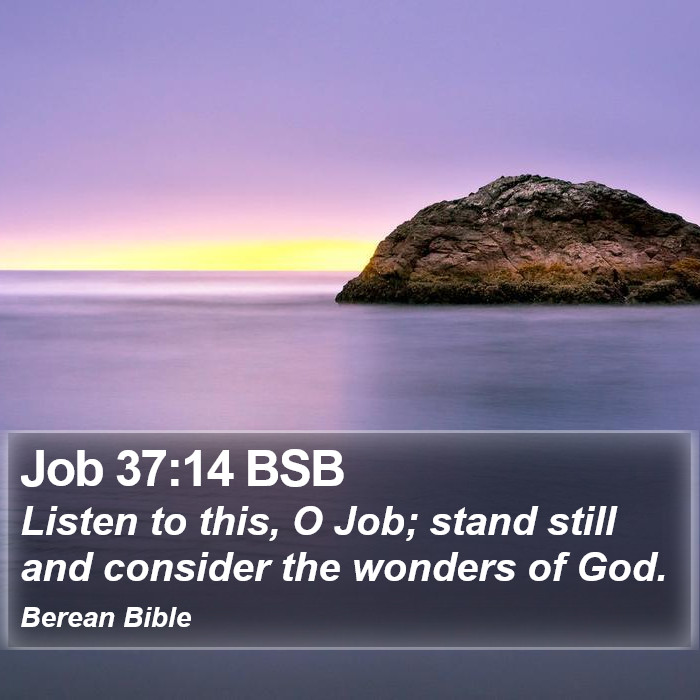 Job 37:14 BSB Bible Study