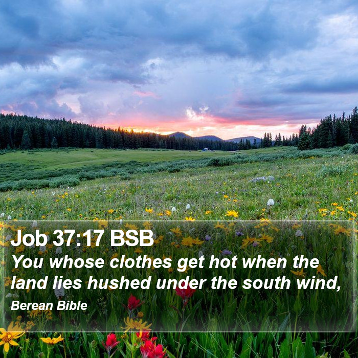 Job 37:17 BSB Bible Study