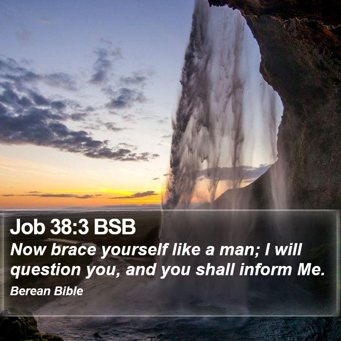 Job 38:3 BSB Bible Study