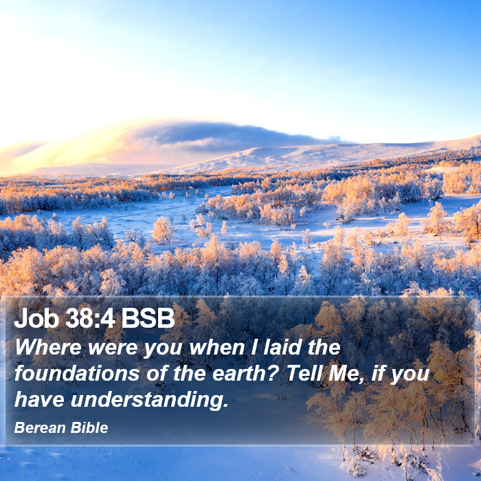 Job 38:4 BSB Bible Study