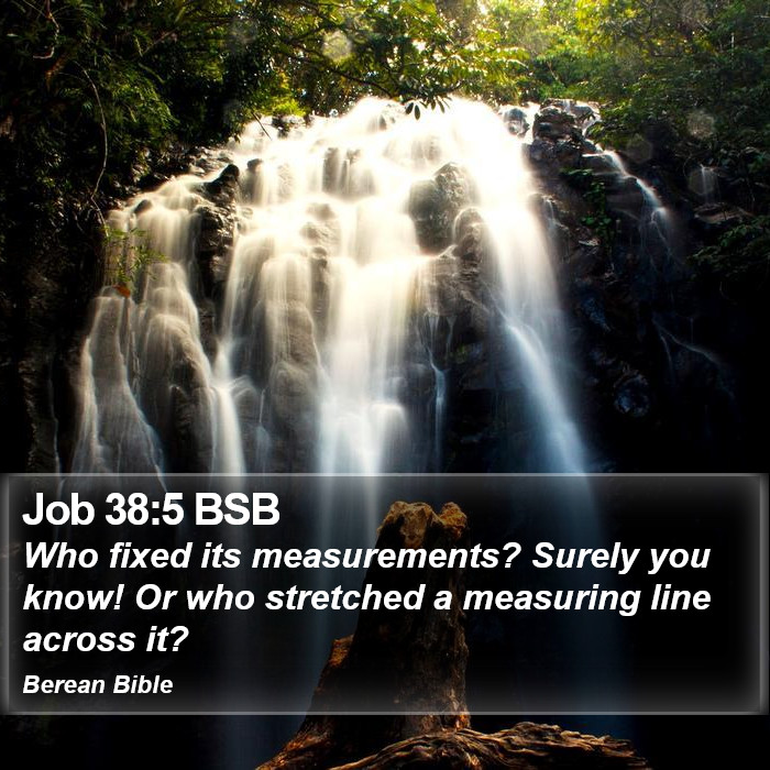 Job 38:5 BSB Bible Study