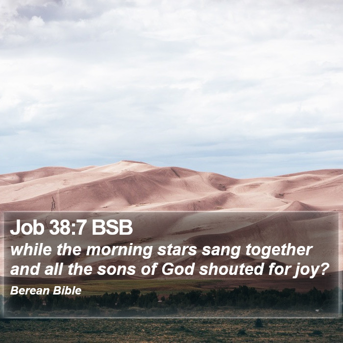 Job 38:7 BSB Bible Study