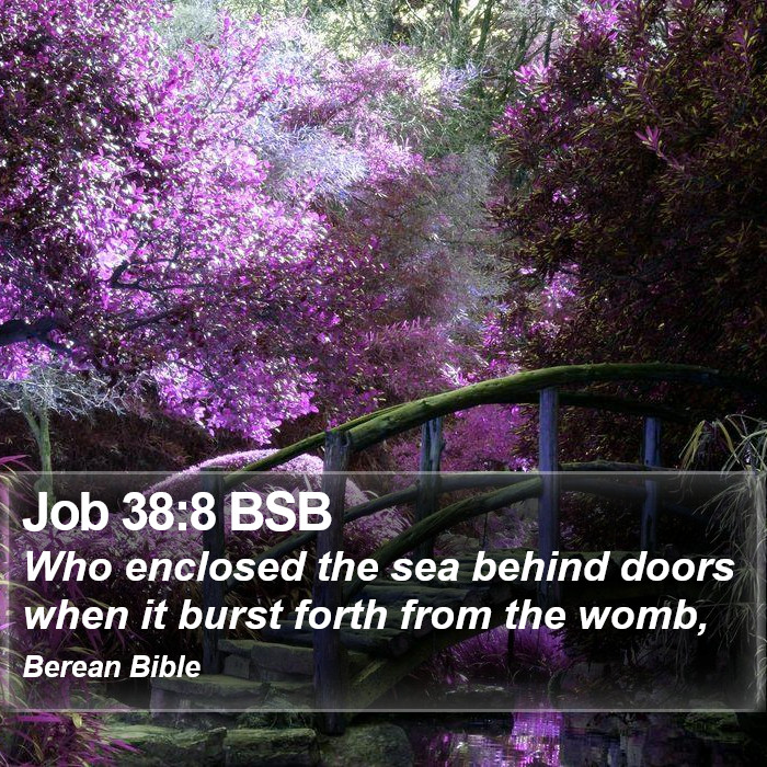 Job 38:8 BSB Bible Study