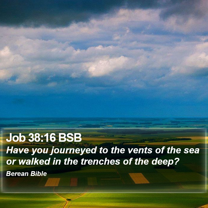 Job 38:16 BSB Bible Study