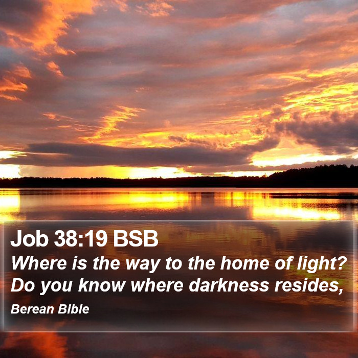 Job 38:19 BSB Bible Study