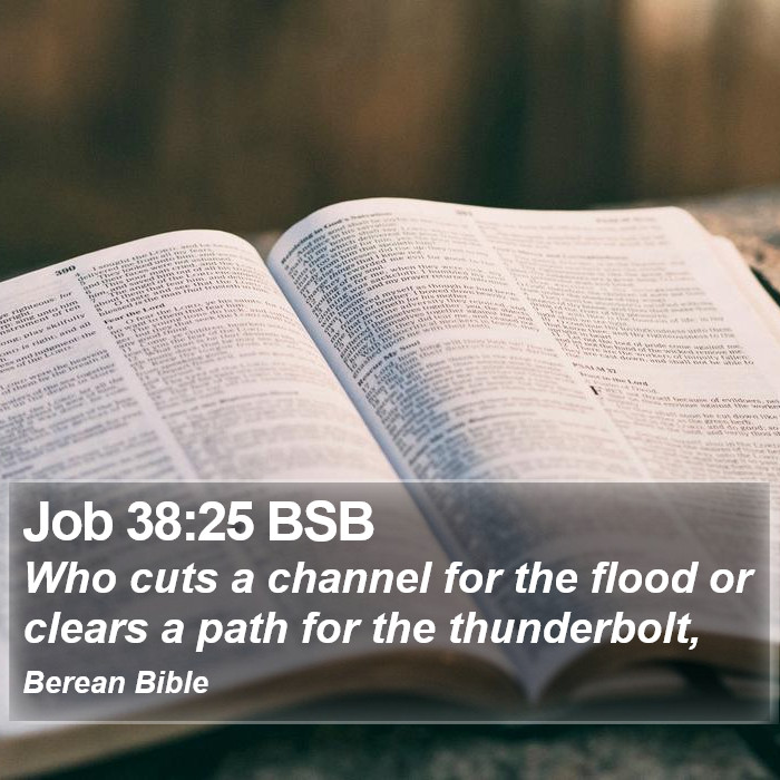 Job 38:25 BSB Bible Study