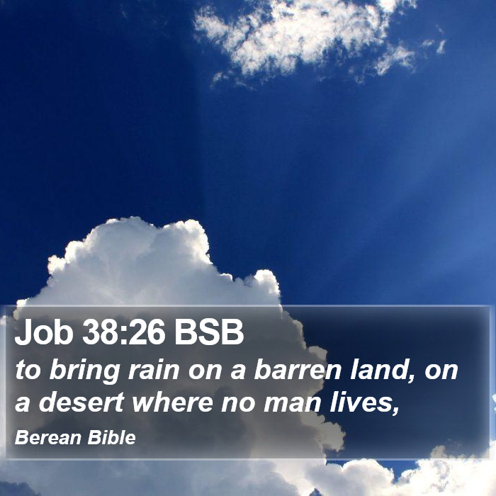 Job 38:26 BSB Bible Study