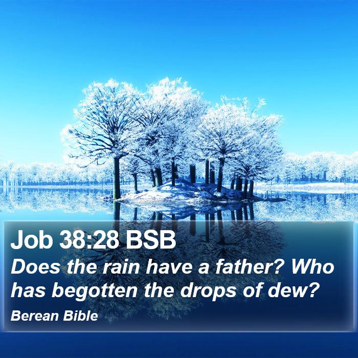 Job 38:28 BSB Bible Study