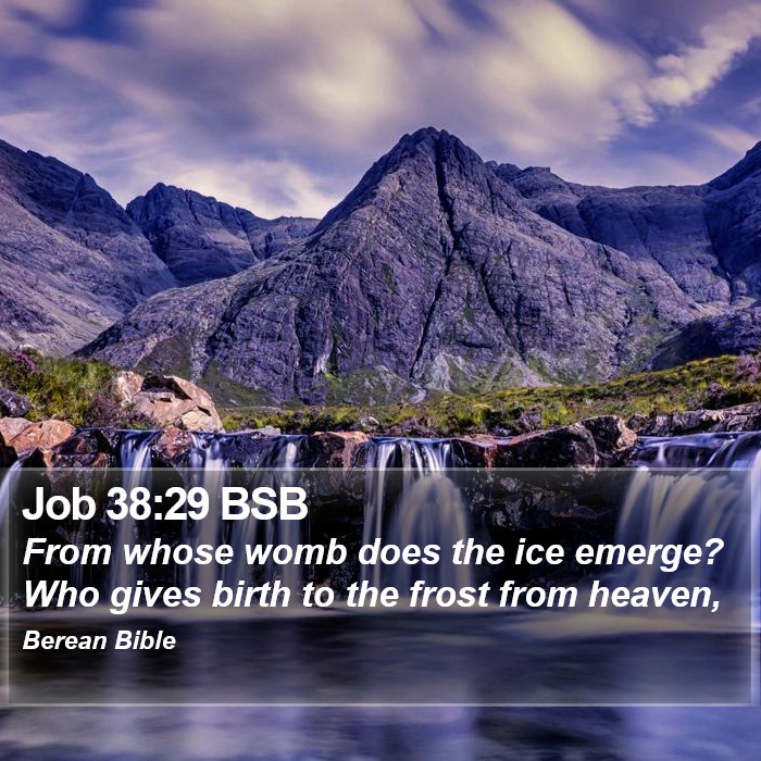 Job 38:29 BSB Bible Study