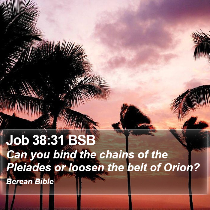 Job 38:31 BSB Bible Study