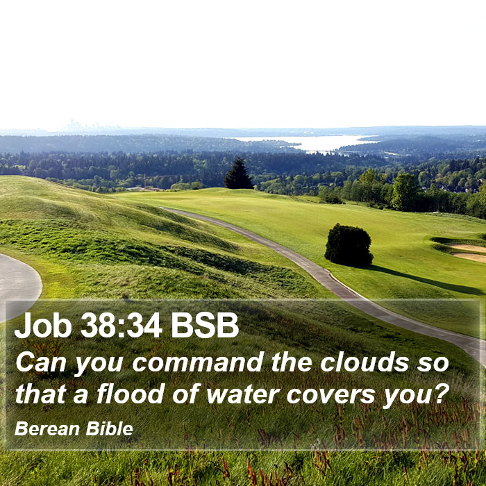 Job 38:34 BSB Bible Study