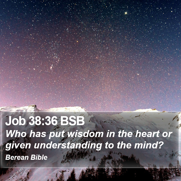 Job 38:36 BSB Bible Study