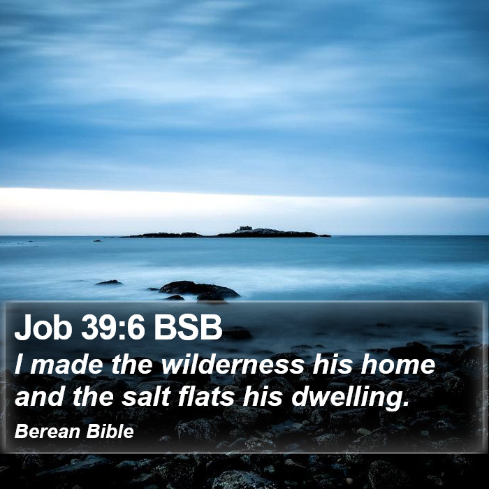 Job 39:6 BSB Bible Study