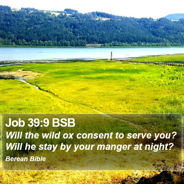 Job 39:9 BSB Bible Study