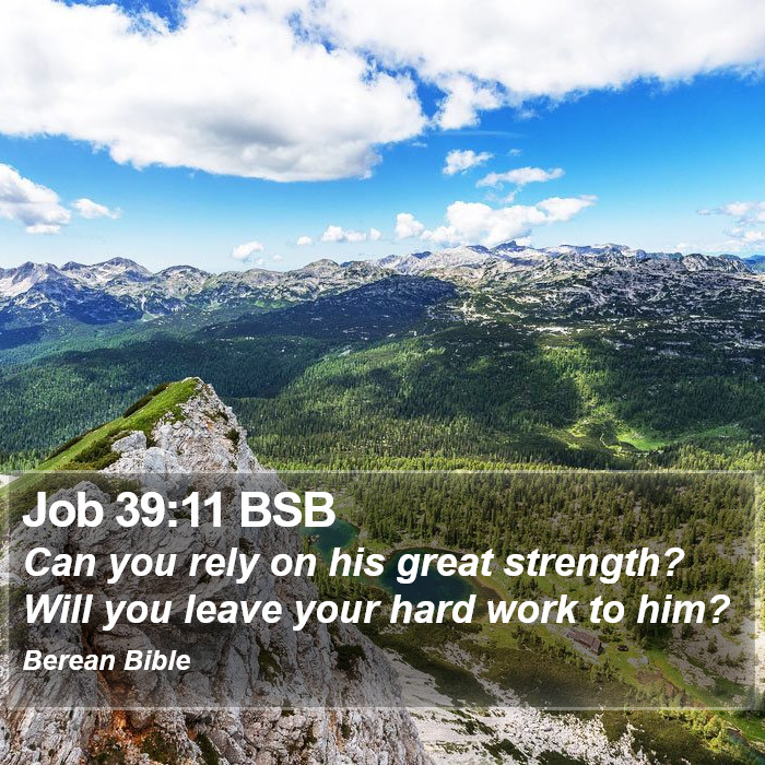 Job 39:11 BSB Bible Study