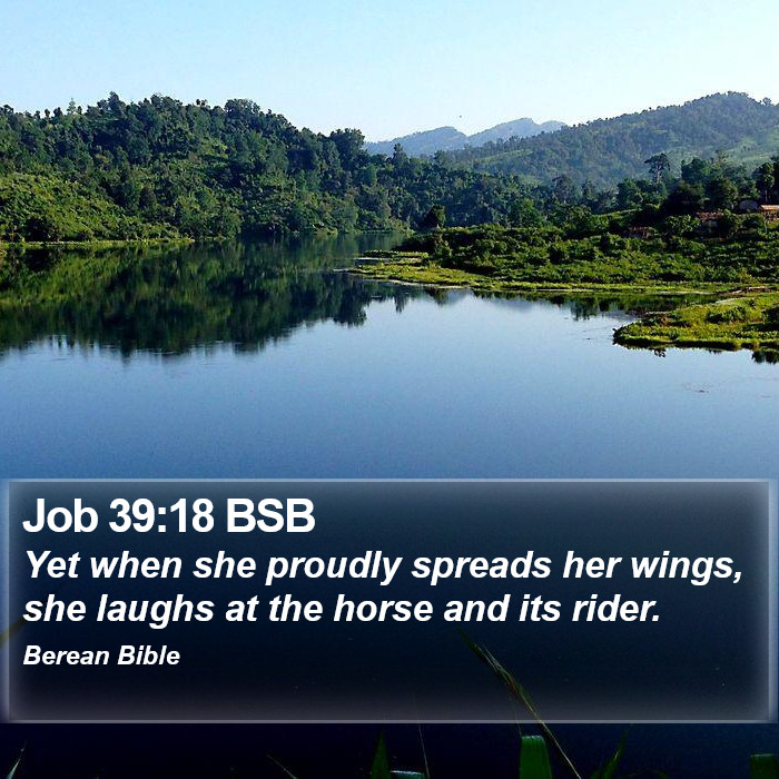 Job 39:18 BSB Bible Study