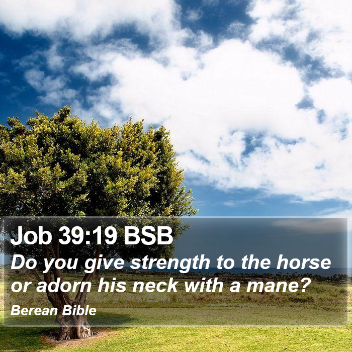 Job 39:19 BSB Bible Study