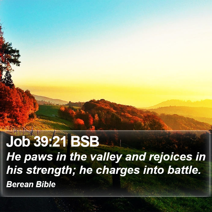 Job 39:21 BSB Bible Study