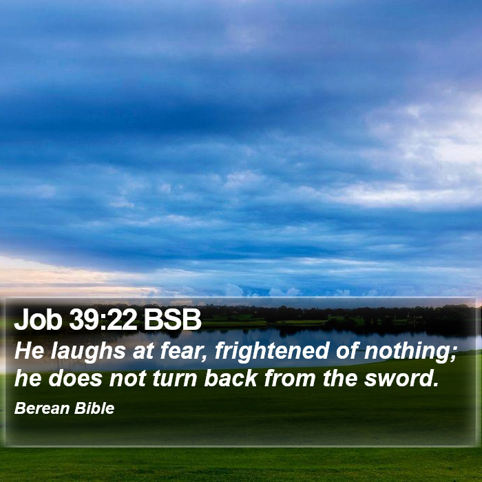 Job 39:22 BSB Bible Study