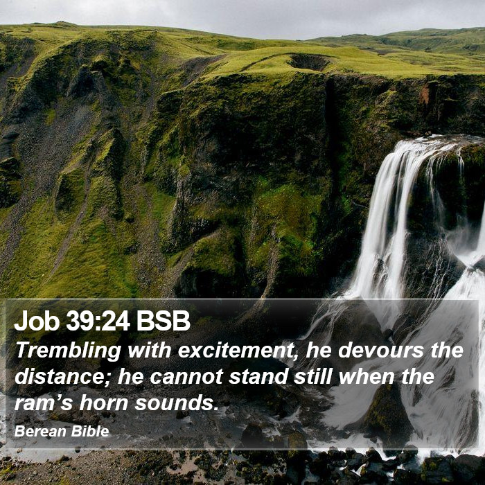 Job 39:24 BSB Bible Study