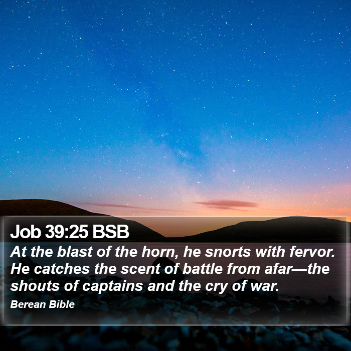 Job 39:25 BSB Bible Study