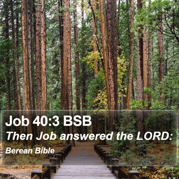 Job 40:3 BSB Bible Study