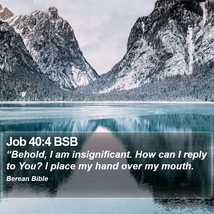 Job 40:4 BSB Bible Study