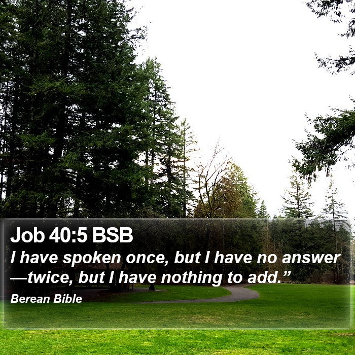 Job 40:5 BSB Bible Study