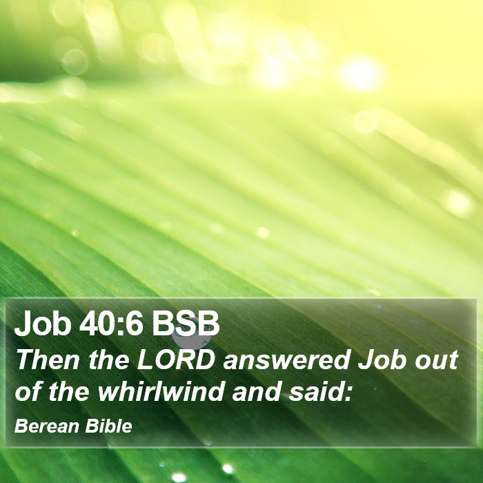 Job 40:6 BSB Bible Study