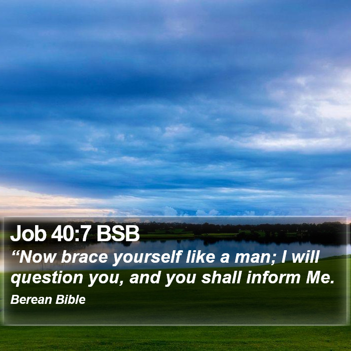 Job 40:7 BSB Bible Study