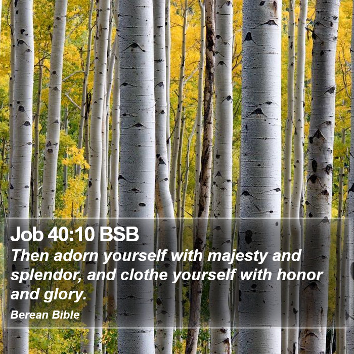 Job 40:10 BSB Bible Study