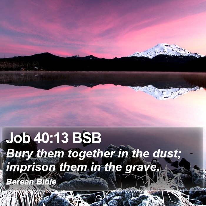 Job 40:13 BSB Bible Study