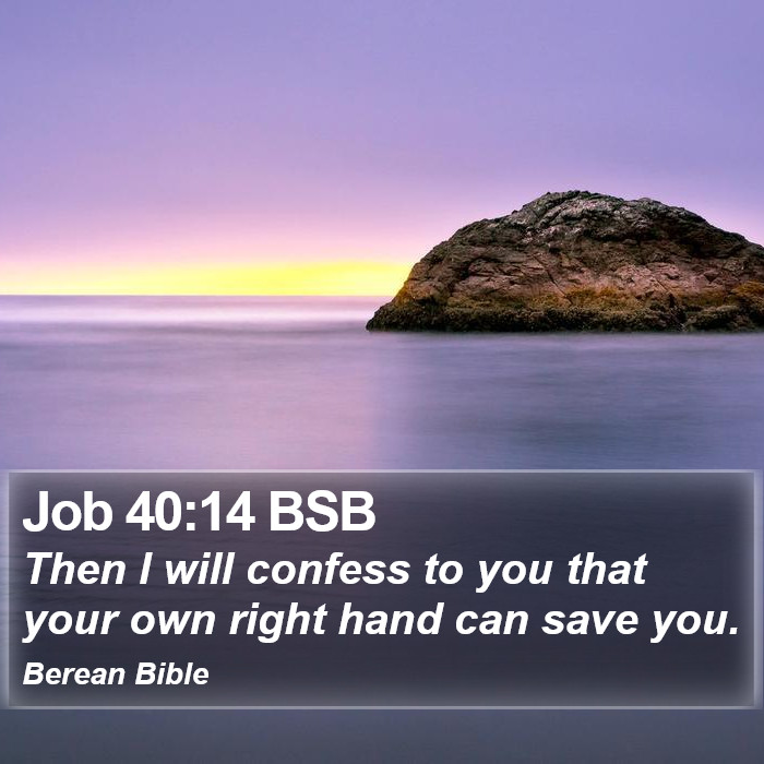 Job 40:14 BSB Bible Study