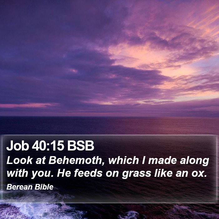 Job 40:15 BSB Bible Study