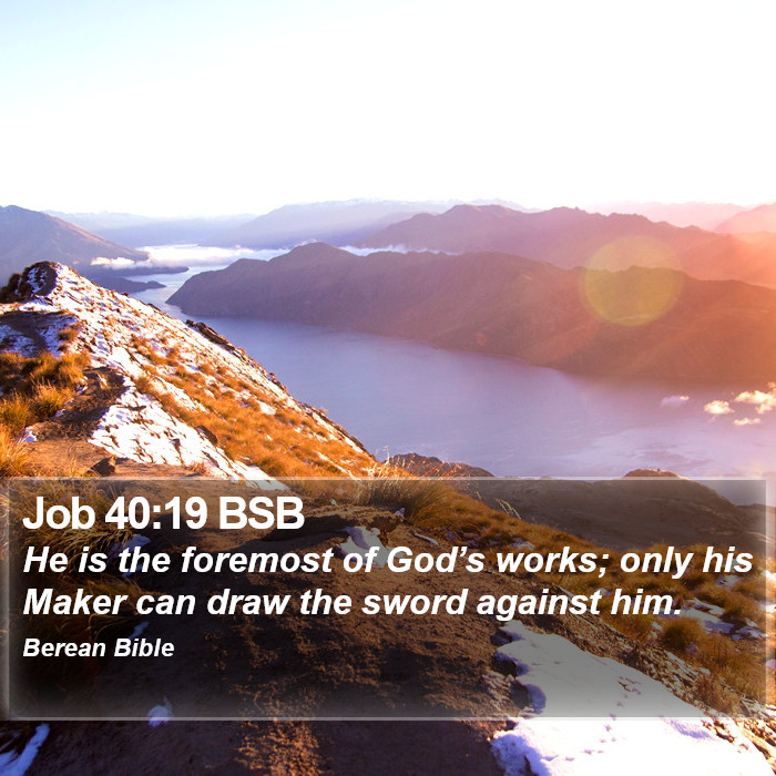 Job 40:19 BSB Bible Study