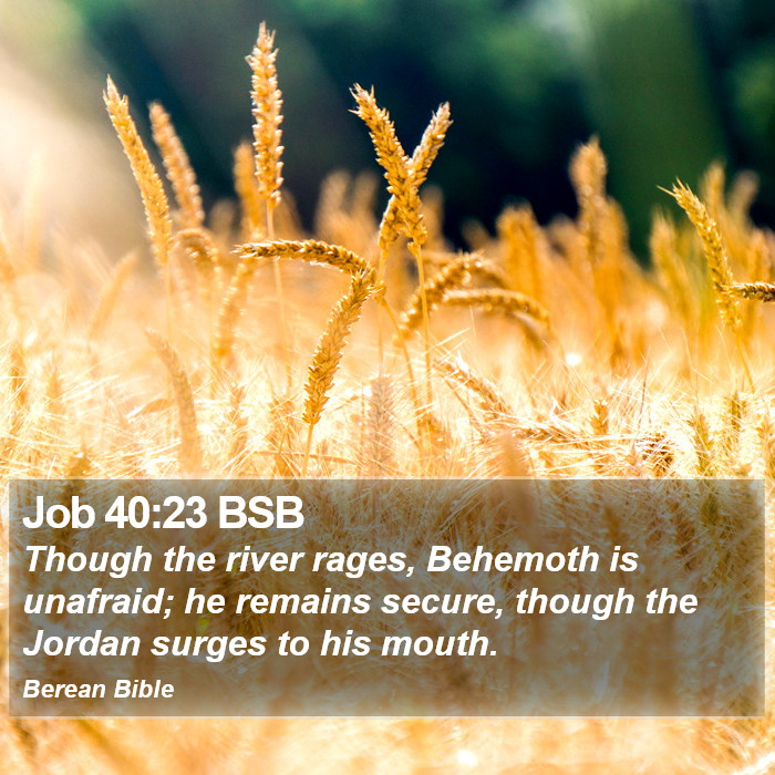 Job 40:23 BSB Bible Study