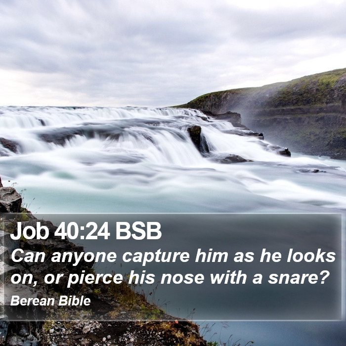 Job 40:24 BSB Bible Study