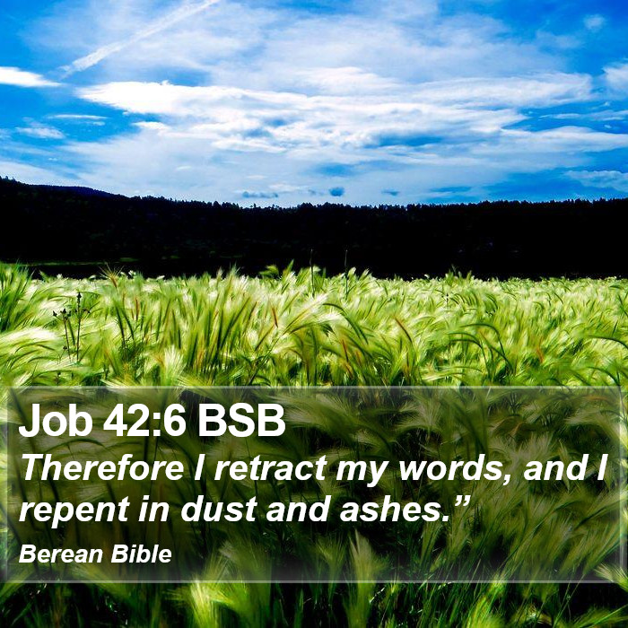 Job 42:6 BSB Bible Study