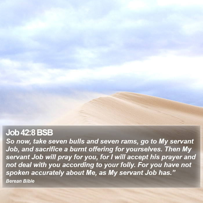 Job 42:8 BSB Bible Study