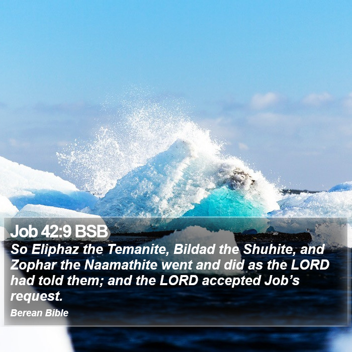 Job 42:9 BSB Bible Study