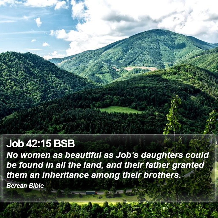 Job 42:15 BSB Bible Study