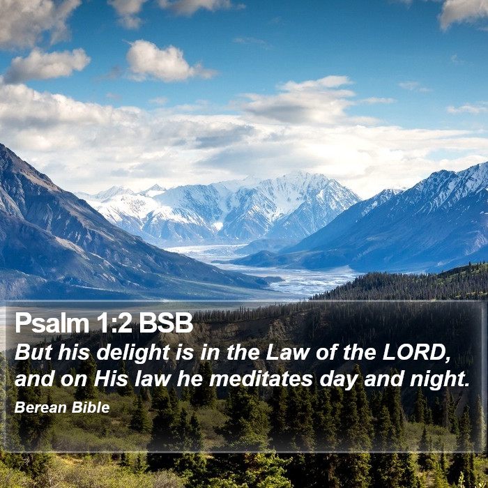 Psalms 1:2 BSB Bible Study